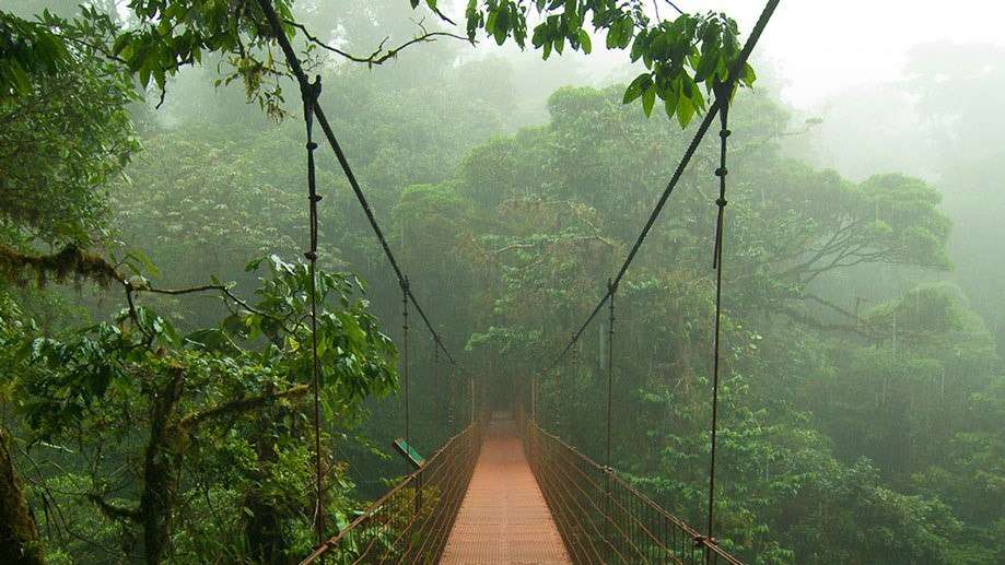 10 Easy Jungle Treks to Venture in Malaysia
