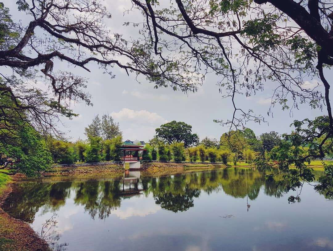 Taiping Lake Garden 101: All that You Can Do Here