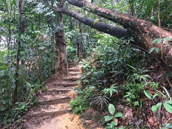 Get Some Fresh Air at these Hiking Trails in KL!